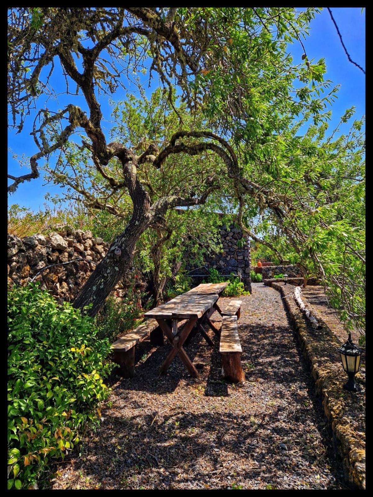 Casa Rural Faustina Isora Εξωτερικό φωτογραφία